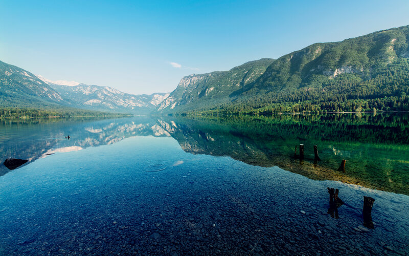 Mountain Lake Reflection — Blue, Serene, Morning, Photograph, Mountains, Trees, Rocks, Wooden Posts