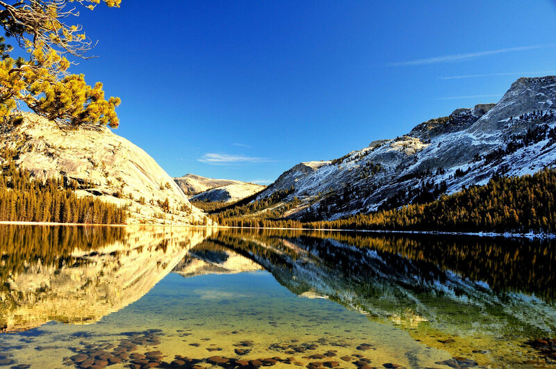 Mountain Lake Reflection — Blue, Serene, Morning, Photograph, Pine Tree