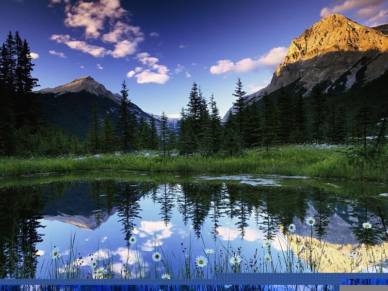 Mountain Lake Reflection — Blue, Serene, Morning, Photograph, Trees, Flowers
