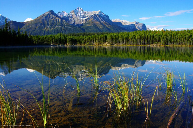 Mountain Lake Reflection — Blue, Serene, Morning, Photograph, Trees, Mountains, Grass