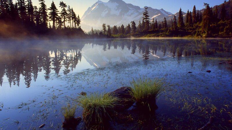 Mountain Lake Reflection — Blue, Serene, Morning, Photograph, Trees, Snow-capped Mountain, Mist