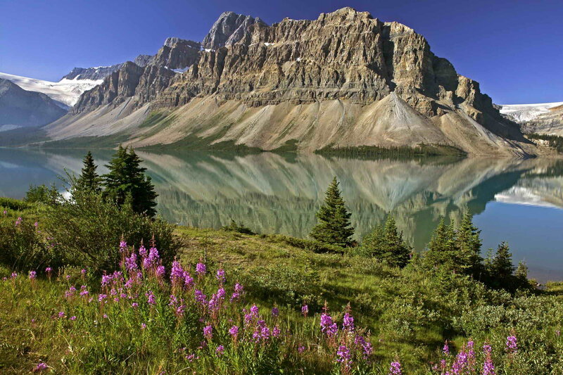 Mountain Lake Reflection — Blue, Serene, Summer, Photograph, Flowers