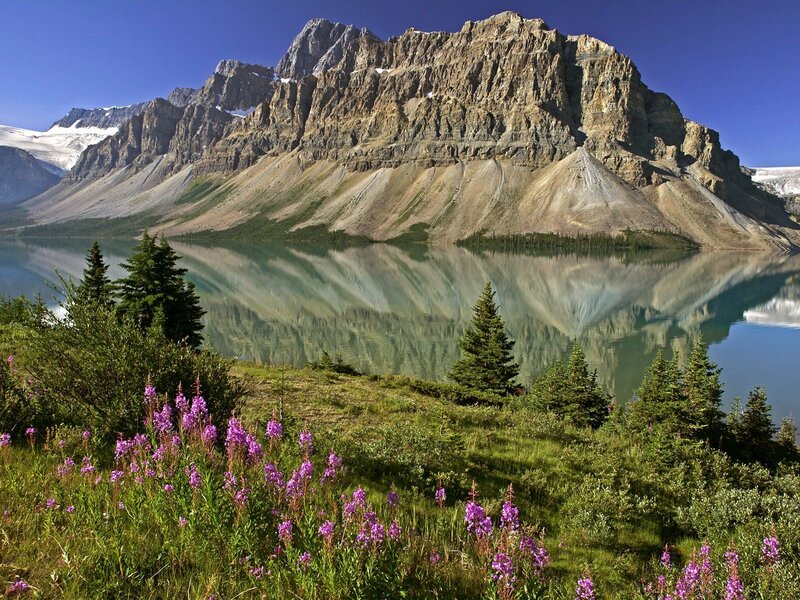 Mountain Lake Reflection — Blue, Serene, Summer, Photograph, Flowers, Trees, Snow, Green