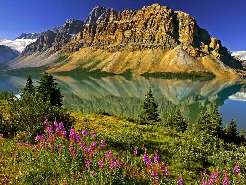 Mountain Lake Reflection — Blue, Serene, Summer, Photograph, Flowers, Trees