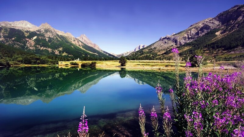 Mountain Lake Reflection — Blue, Serene, Summer, Photograph, Purple Flowers