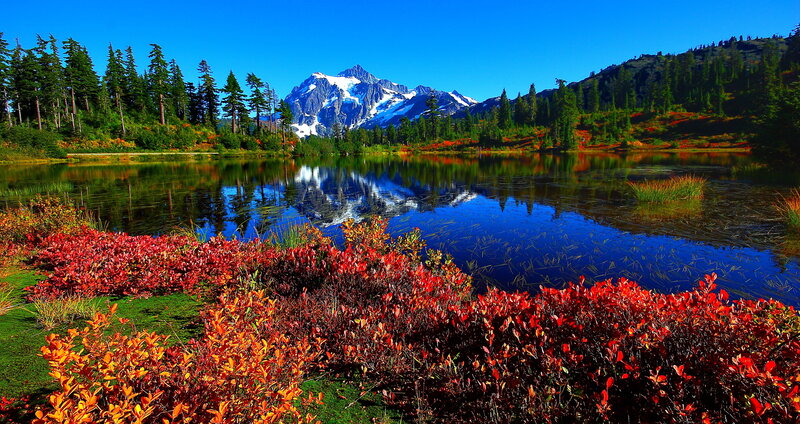 Mountain Lake Reflection — Blue, Serene, Summer, Photograph, Snow-capped Mountain