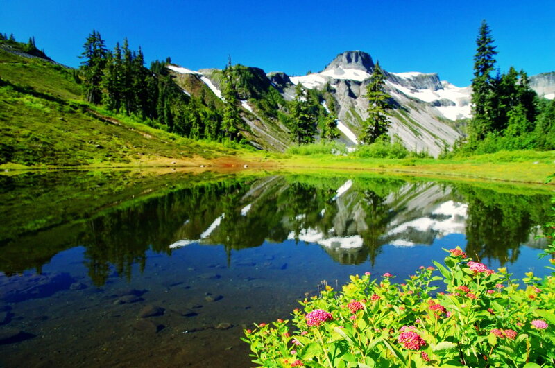 Mountain Lake Reflection — Blue, Serene, Summer, Photograph, Snow-capped Mountains, Evergreen Trees