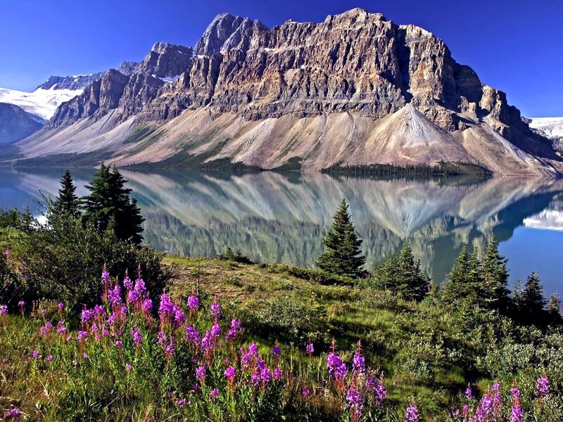 Mountain Lake Reflection — Blue, Serene, Summer, Photograph, Trees, Flowers, Snow, Sky