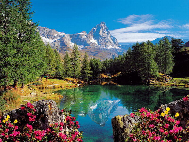 Mountain Lake Reflection — Blue, Serene, Summer, Photograph, Trees, Flowers