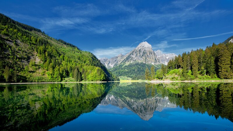 Mountain Lake Reflection — Forest, Green