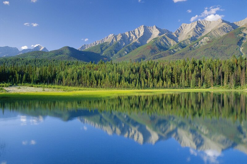 Mountain Lake Reflection — Forest, Sky