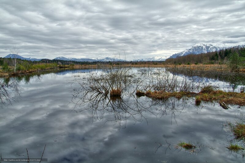 Mountain Lake Reflection — Gray, Serene, Winter