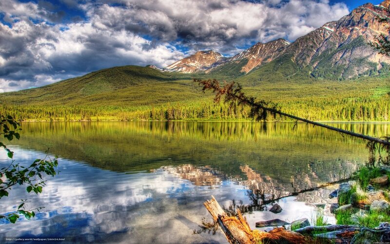 Mountain Lake Reflection — Green, Dramatic, Afternoon, Photograph, Mountains, Forest