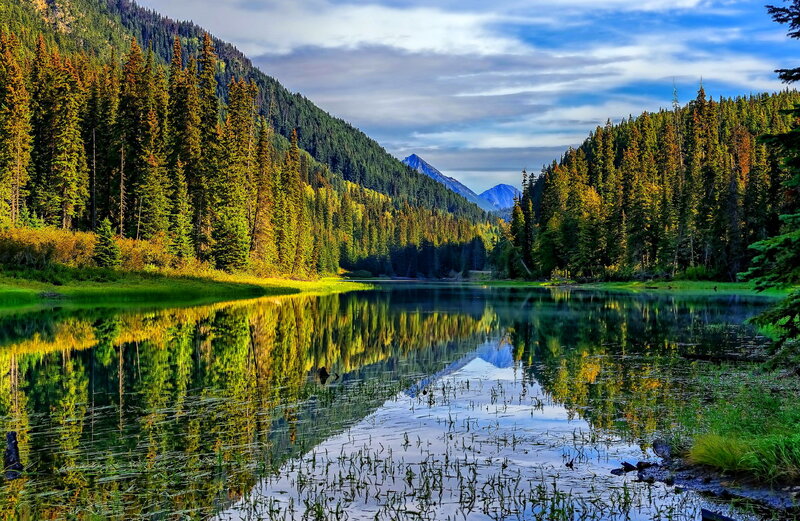 Mountain Lake Reflection — Green, Serene, Afternoon, Photograph, Forest, Mountains, Sky, Plants