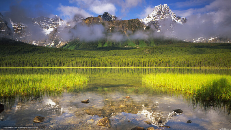 Mountain Lake Reflection — Green, Serene, Afternoon, Photograph, Forest, Snow-capped Mountains