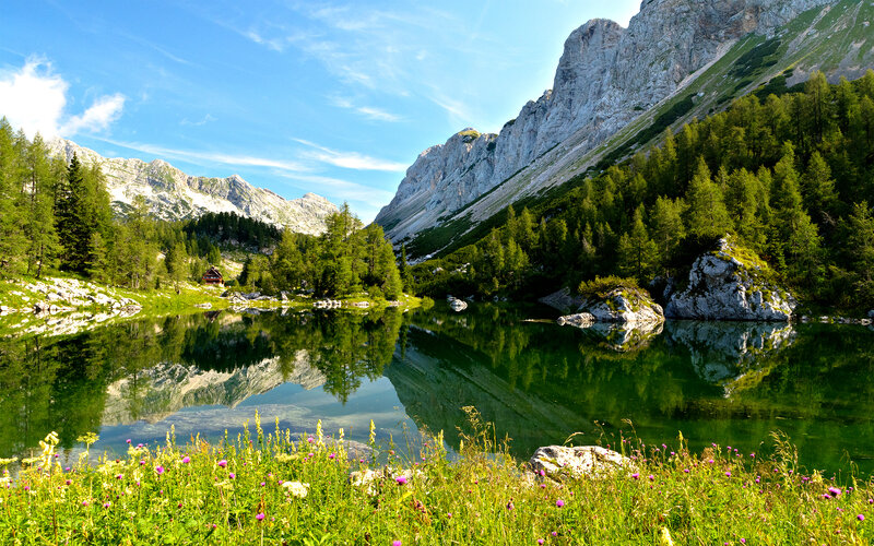 Mountain Lake Reflection — Green, Serene, Afternoon, Photograph, Mountains, Forest, Flowers