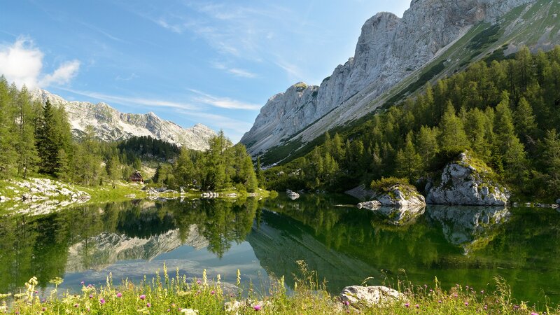 Mountain Lake Reflection — Green, Serene, Afternoon, Photograph, Mountains, Trees, Cabin, Blue