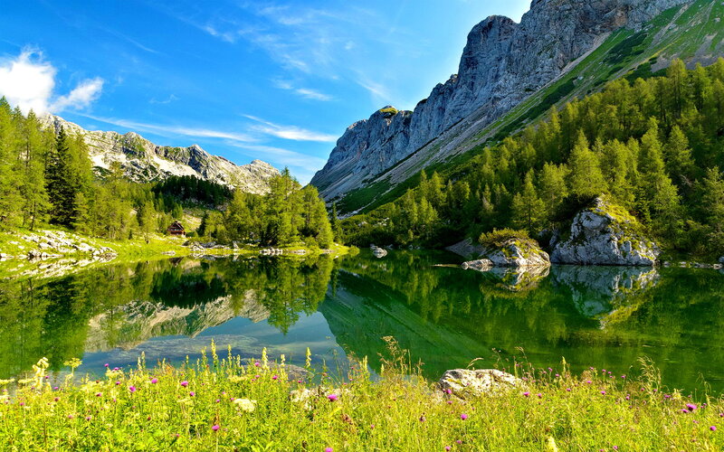Mountain Lake Reflection — Green, Serene, Afternoon, Photograph, Mountains, Trees, Cabin