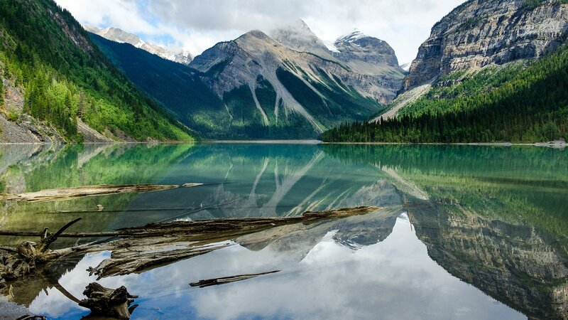 Mountain Lake Reflection — Green, Serene, Afternoon, Photograph, Mountains, Trees, Driftwood
