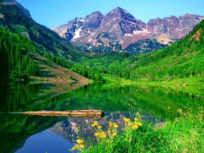 Mountain Lake Reflection — Green, Serene, Afternoon, Photograph, Mountains, Trees, Flowers