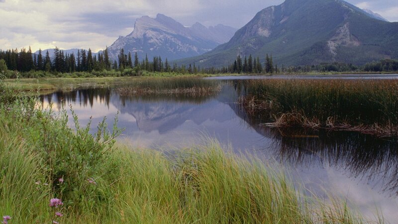 Mountain Lake Reflection — Green, Serene, Afternoon, Photograph, Mountains, Trees, Reeds, Blue