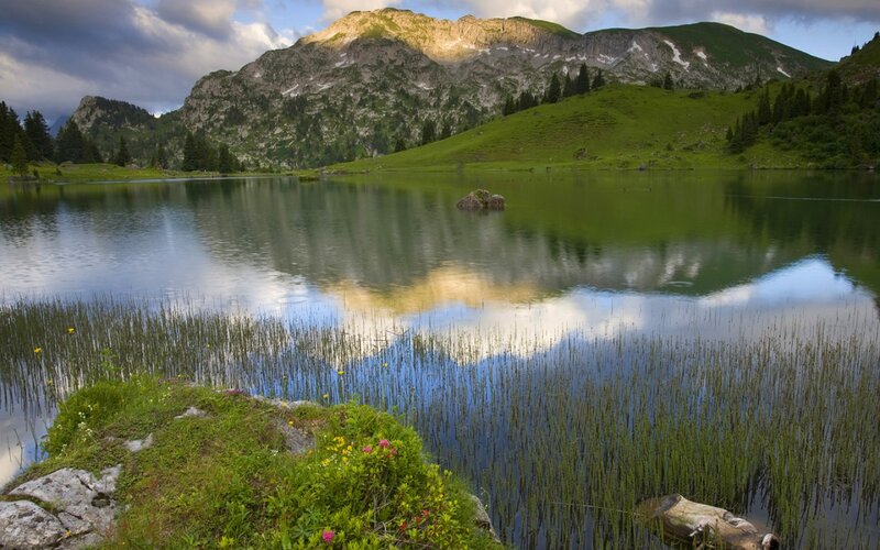 Mountain Lake Reflection — Green, Serene, Afternoon, Photograph, Mountains, Trees, Reeds