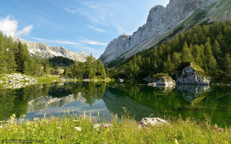 Mountain Lake Reflection — Green, Serene, Afternoon, Photograph, Trees, Mountains, Flowers