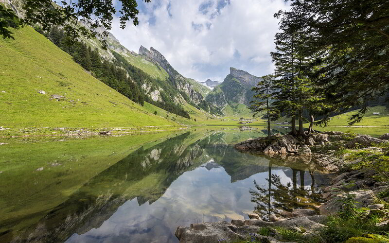 Mountain Lake Reflection — Green, Serene, Afternoon, Photograph, Trees, Mountains, Grass, Rocks