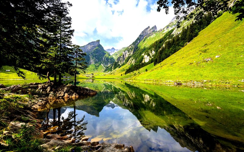 Mountain Lake Reflection — Green, Serene, Afternoon, Photograph, Trees, Mountains, Grass, Sky