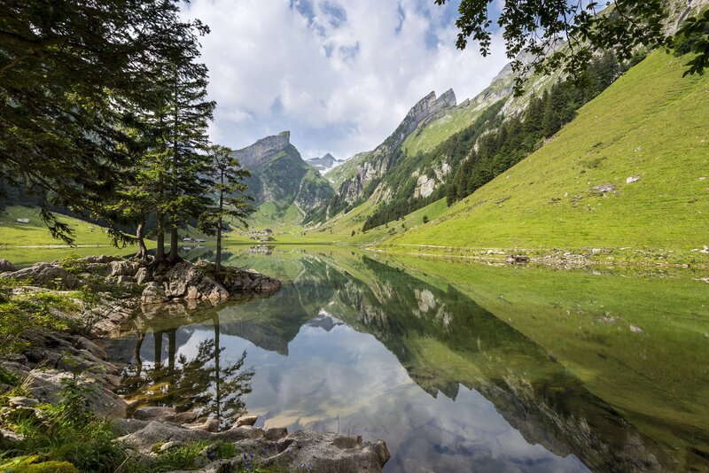 Mountain Lake Reflection — Green, Serene, Afternoon, Photograph, Trees, Mountains, Sky, Blue, White