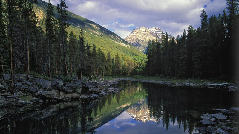 Mountain Lake Reflection — Green, Serene, Afternoon, Photograph, Trees, River