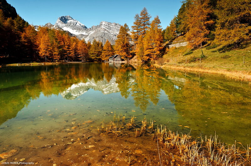 Mountain Lake Reflection — Green, Serene, Autumn, Photograph, Trees, Mountains, Cabin