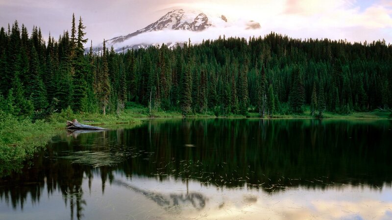 Mountain Lake Reflection — Green, Serene, Morning, Photograph, Forest, Snow-capped Mountain