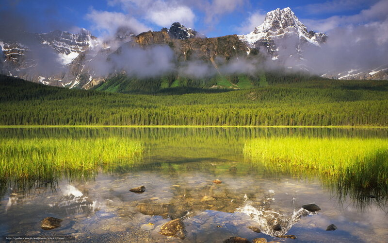 Mountain Lake Reflection — Green, Serene, Morning, Photograph, Forest, Snow-capped Peaks, Clouds