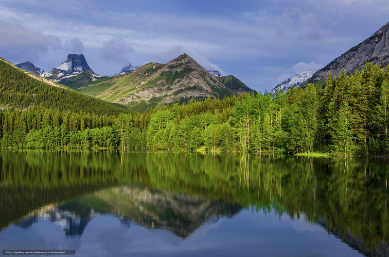 Mountain Lake Reflection — Green, Serene, Morning, Photograph, Mountains, Forest, Blue