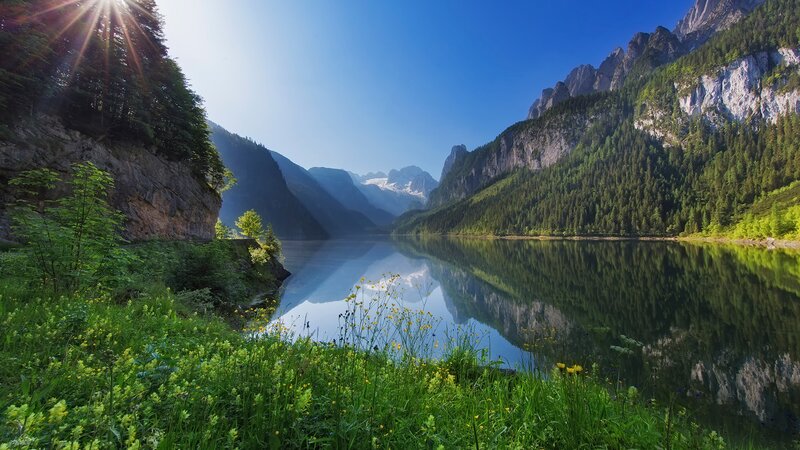 Mountain Lake Reflection — Green, Serene, Morning, Photograph, Mountains, Forest, Sunlight, Flowers