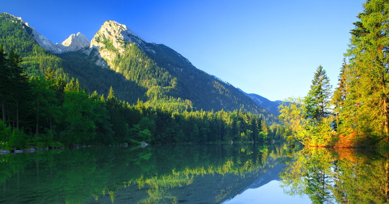 Mountain Lake Reflection — Green, Serene, Morning, Photograph, Mountains, Forest, Trees