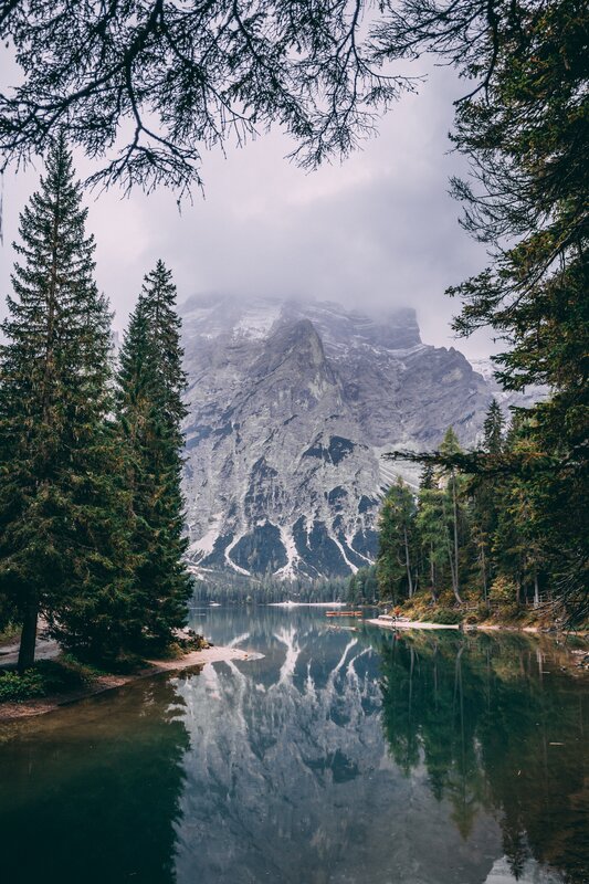 Mountain Lake Reflection — Green, Serene, Morning, Photograph, Trees, Fog