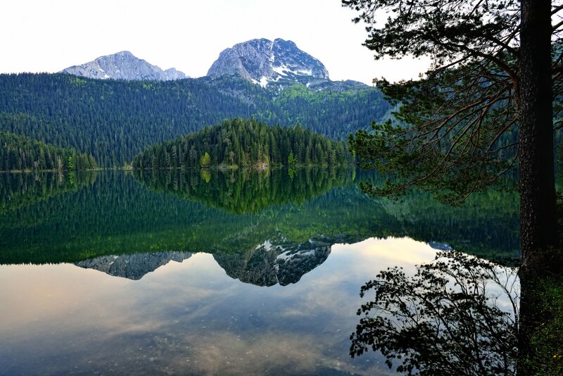 Mountain Lake Reflection — Green, Serene, Morning, Photograph, Trees, Mountains, Forest, Blue, Gray
