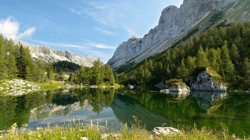 Mountain Lake Reflection — Green, Serene, Summer, Photograph, Mountains, Forest