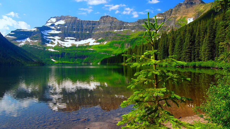 Mountain Lake Reflection — Green, Serene, Summer, Photograph, Pine Tree