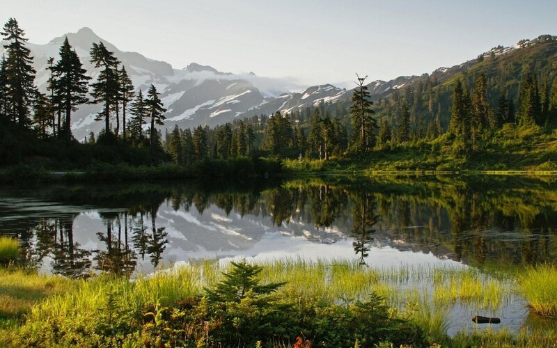 Mountain Lake Reflection — Green, Snow-capped Mountains