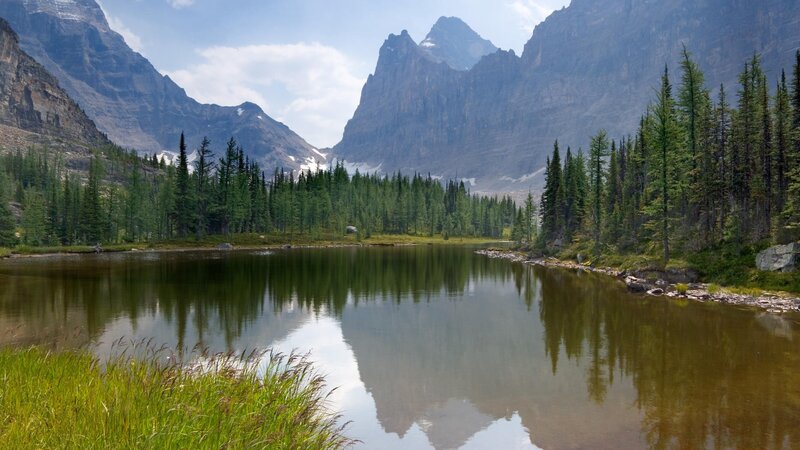 Mountain Lake Reflection — Green, Trees