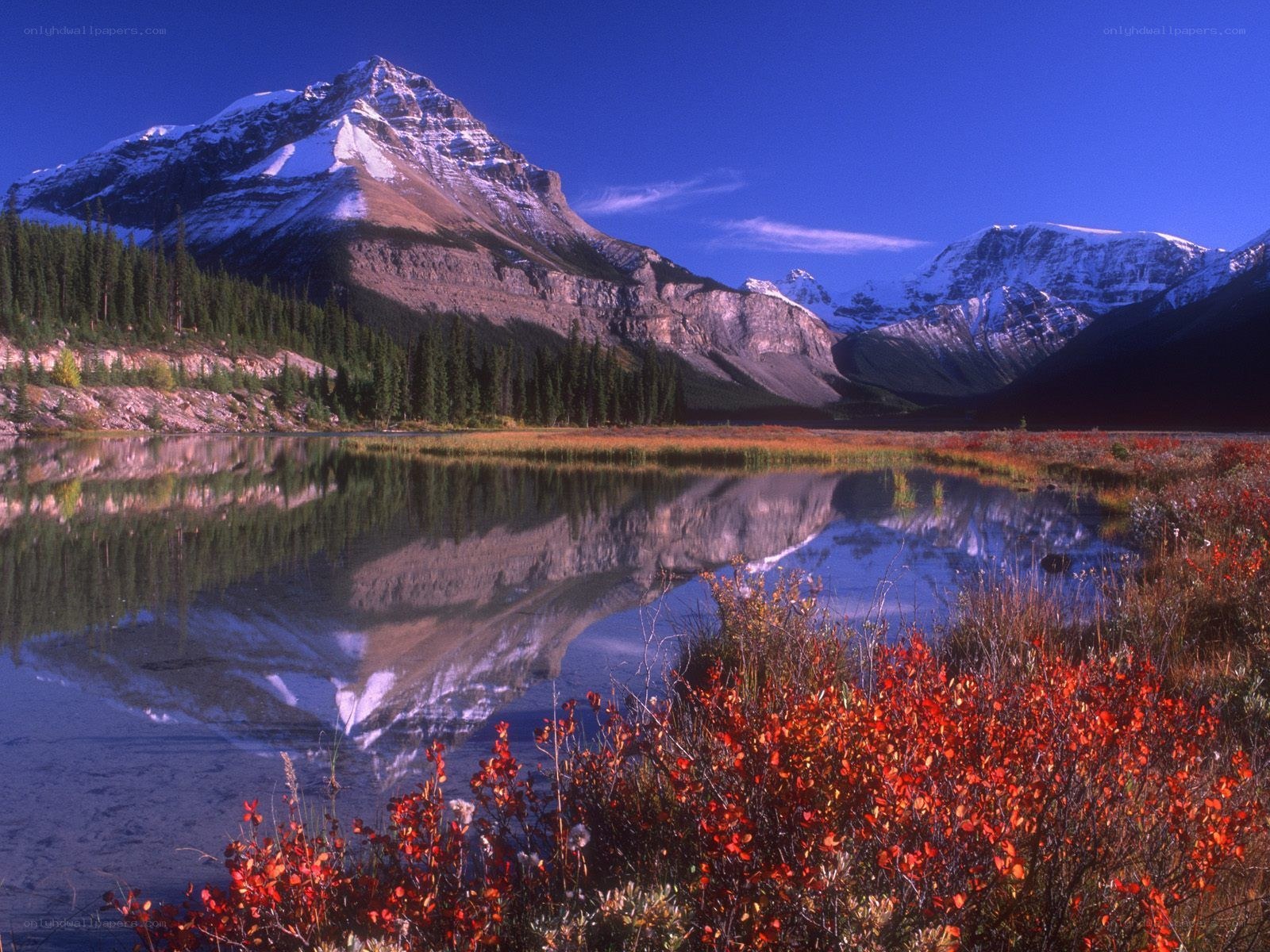 Mountain lake reflection in autumn
