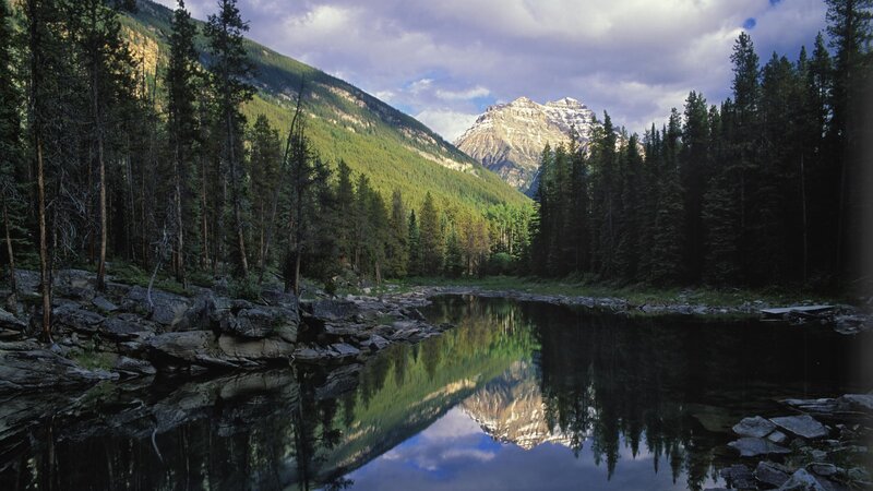 Mountain lake reflection in forest