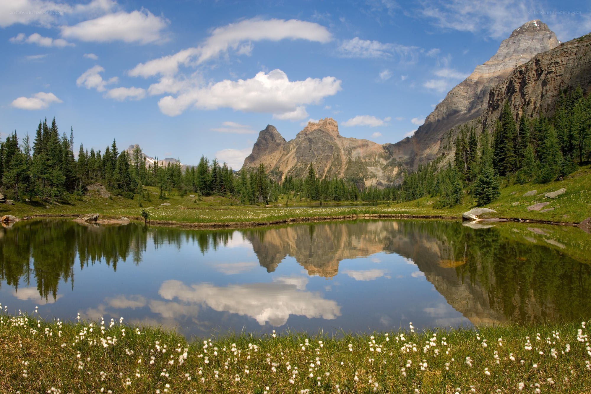 Mountain lake reflection landscape