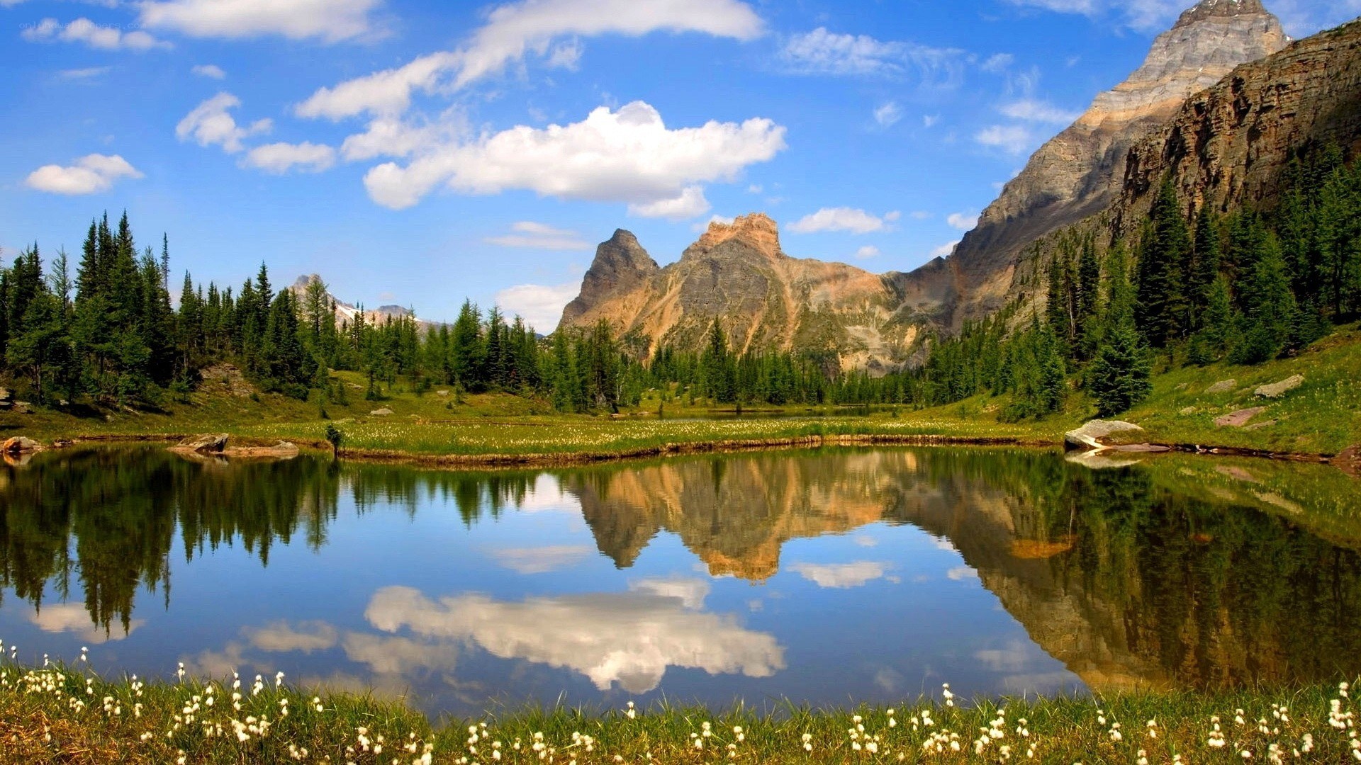 Mountain lake reflection landscape