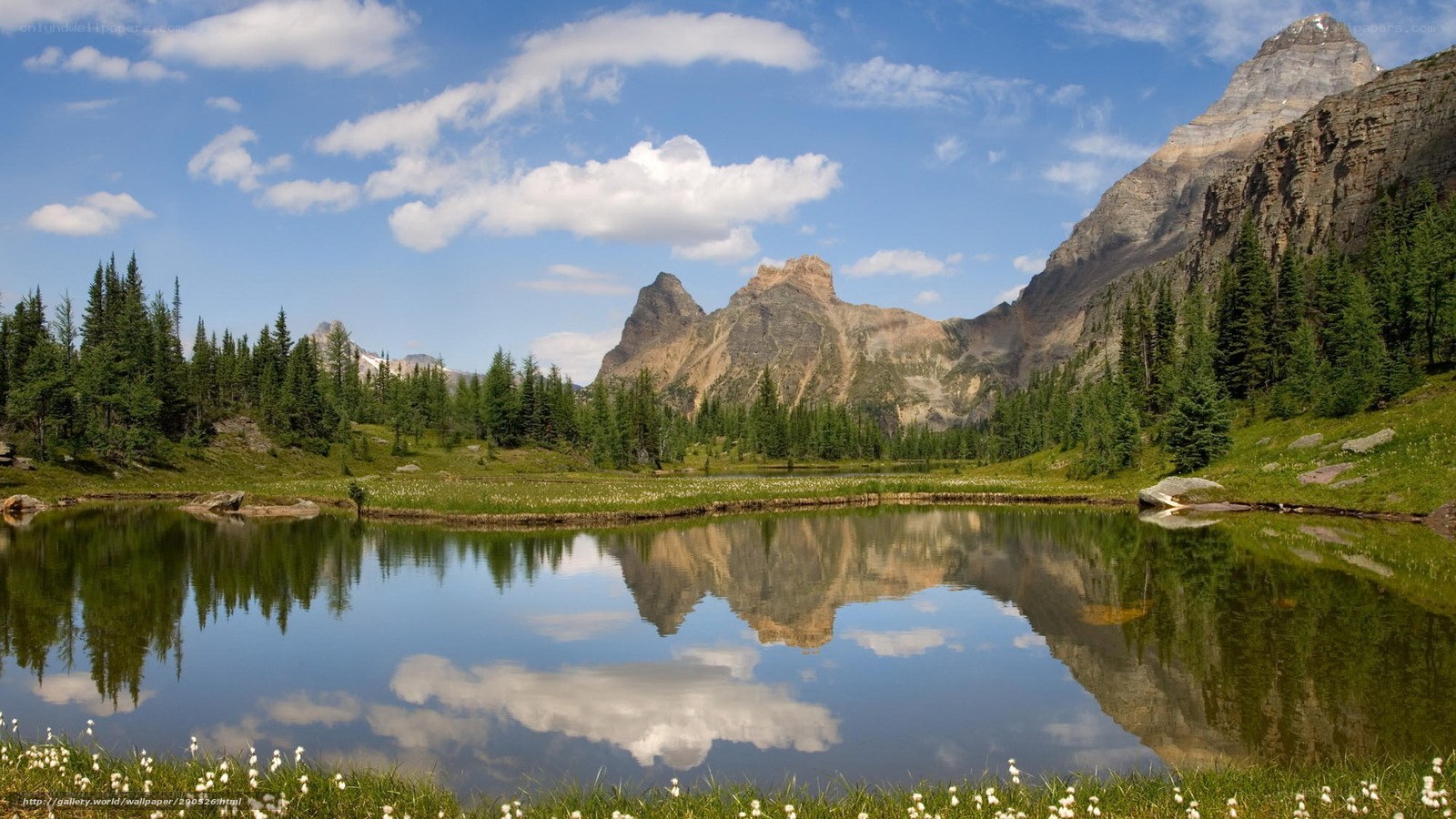 Mountain lake reflection landscape