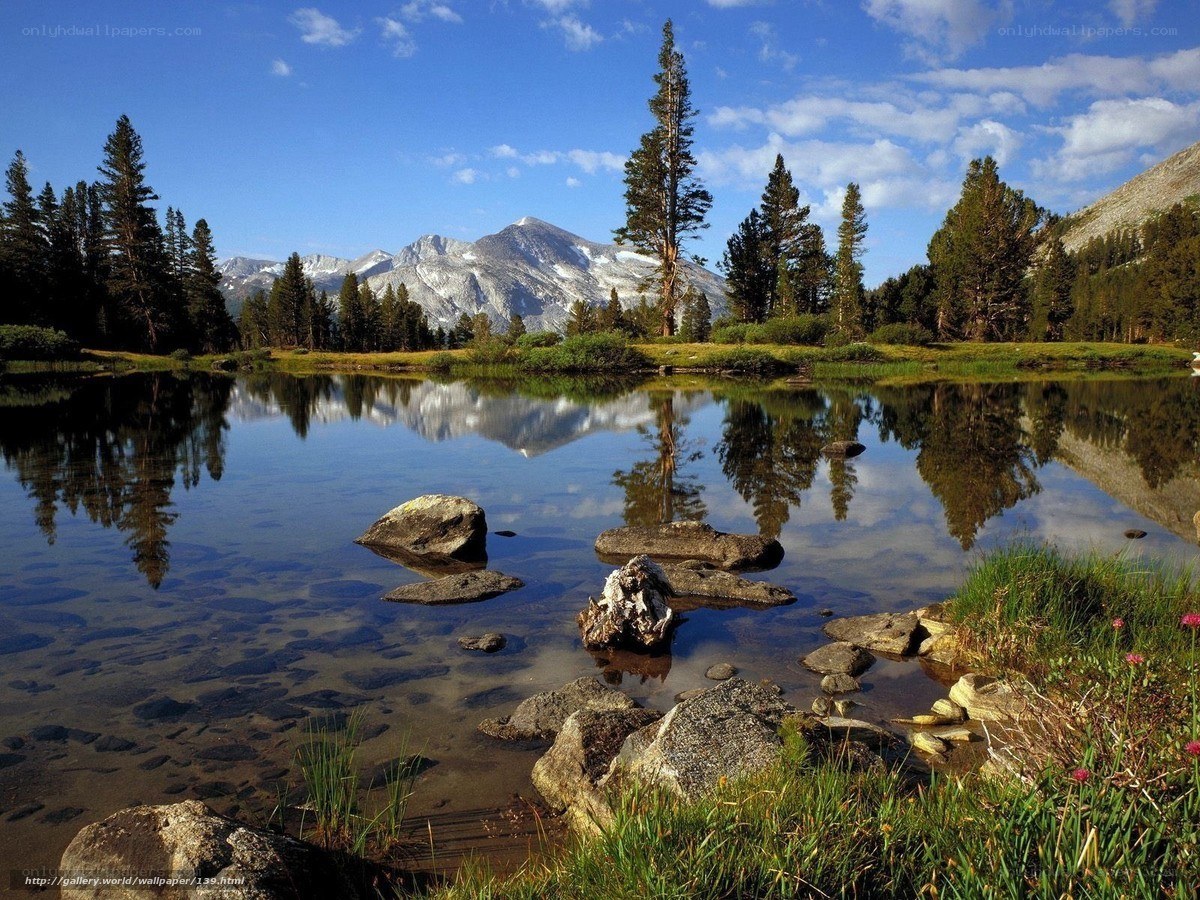 Mountain lake reflection landscape