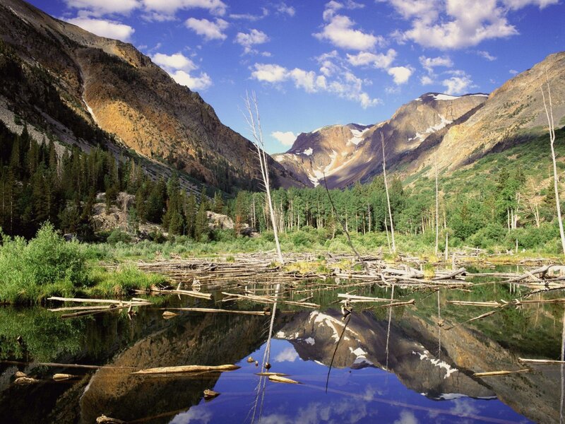 Mountain Lake Reflection — Logs